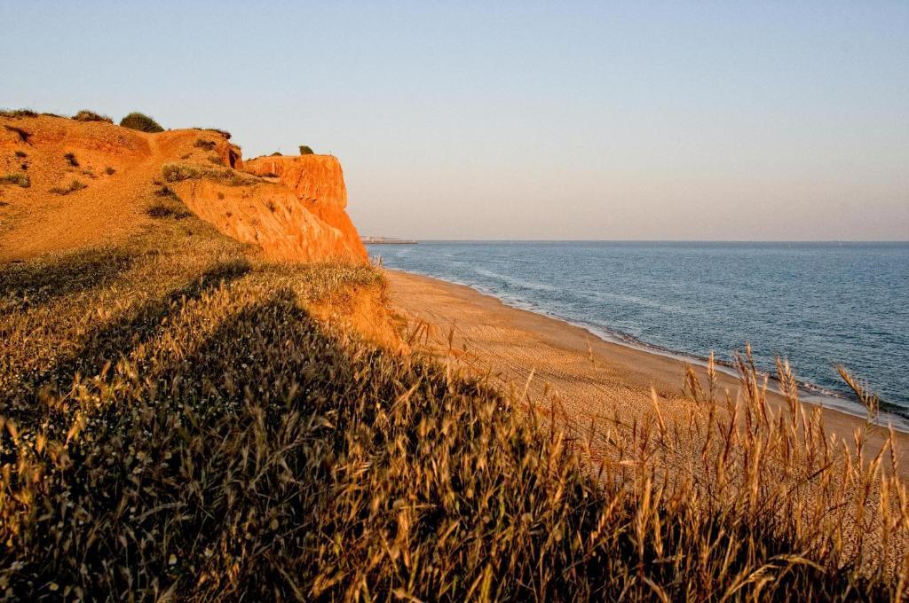 Quinta Do Mel Guest House Albufeira Ngoại thất bức ảnh