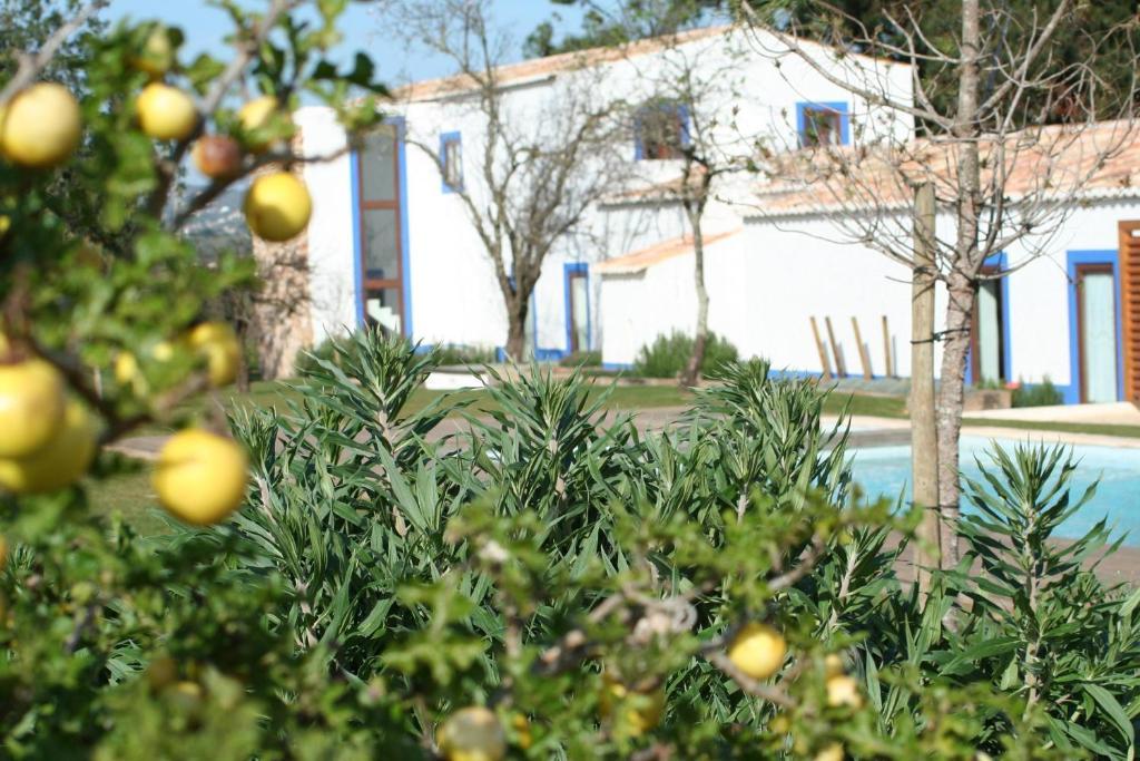 Quinta Do Mel Guest House Albufeira Ngoại thất bức ảnh